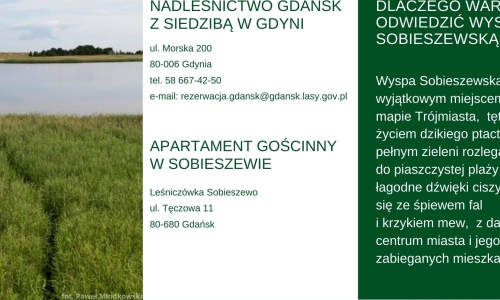 Leśniczówka Sobieszewo, Nadleśnictwo Gdańsk