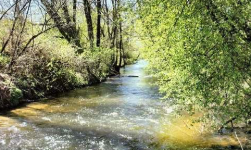 Spływy kajakowe rzeką Wel - Pole namiotowe - Pokoje gościnne, Agroturystyka, Mazury
