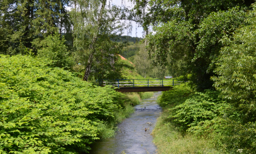 Wynajmę domek całoroczny w Pokrzywnej - Góry Opawskie.